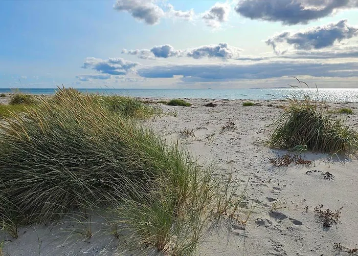 84227-ebeltoft-oreflippen-43 Semesterbostad Ebeltoft